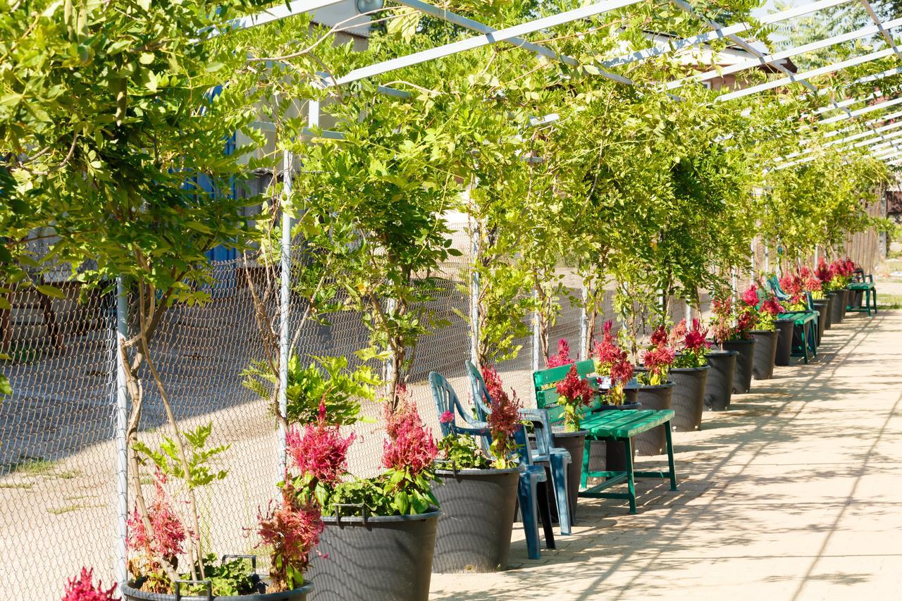 Ymy Hotels Târgu Jiu المظهر الخارجي الصورة